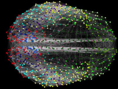 Cortical connectivity complex network